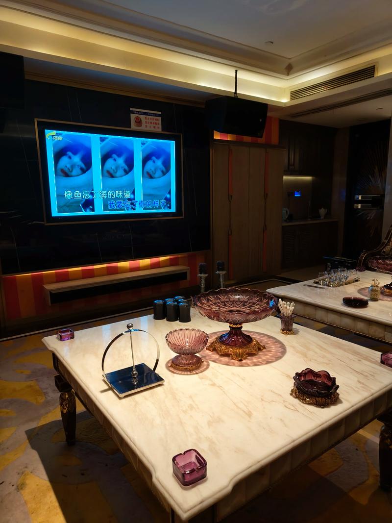 汕尾商务ktv中低端区别解析-陆丰市ktv预定